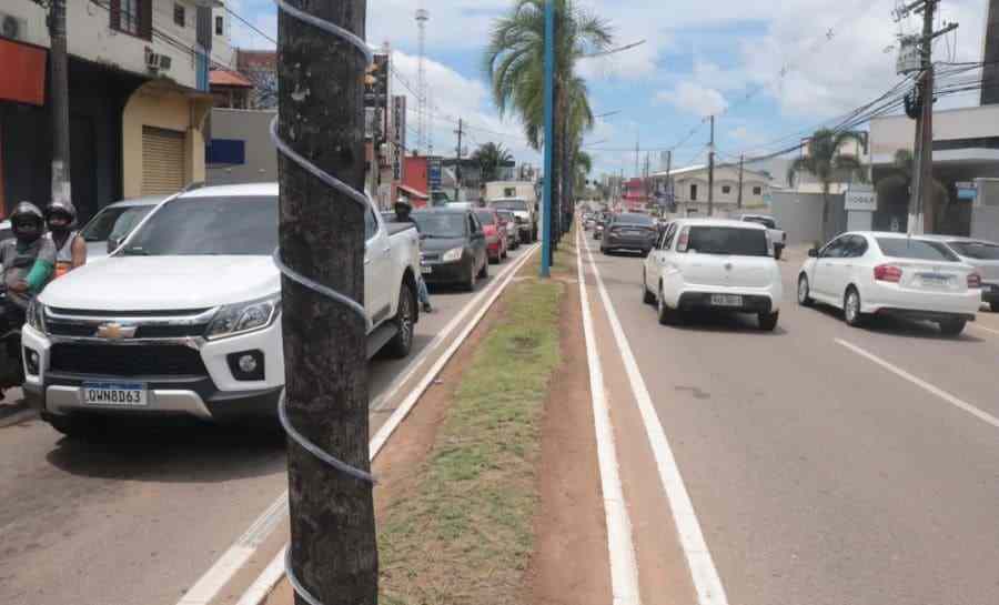 Prefeitura iniciará plantio da grama Amendoim Forrageiro no canteiro central da Av Ceará